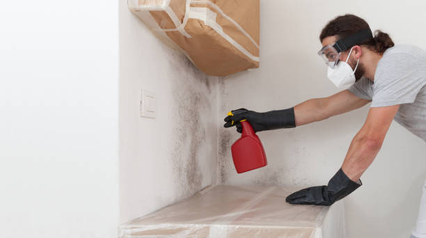 Professional Mold Removal technician working in Brinklow, MD